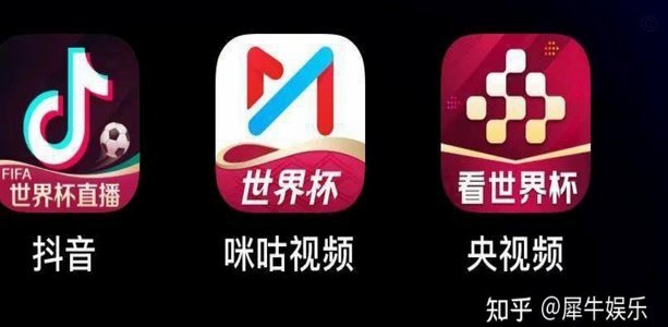 我有个两全其美的点子，能解决央视是否直播世界杯的问题！