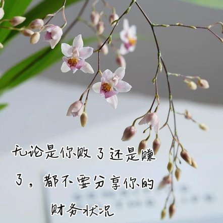 有些东西少来一厢情愿了，根本就不存在看看别人的上限在哪里这一说