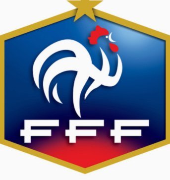 法国队发布新队徽，核心内容为经过重新设计的高卢雄鸡