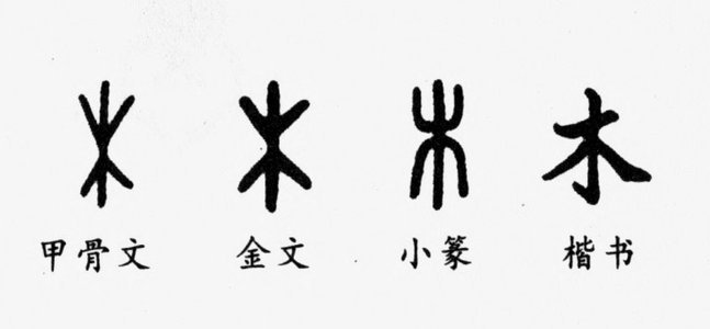 我说实话，清华附真该放赵松源去跟着足球小将踢皇马巴萨的
